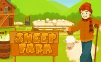 Sheep-Farm